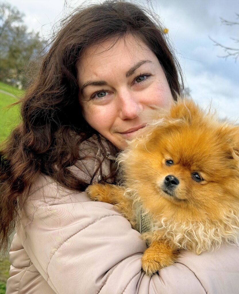 Garde d'un petit chien type Spitz nain à la Salvetat st Gilles