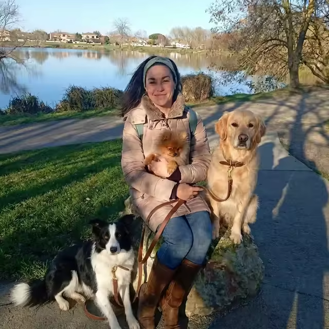 promenade canine collective au bord du lac avec "Entre de bonnes pattes" à Plaisance du Touch